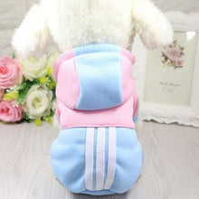 Load image into Gallery viewer, Pet Dog Clothes Hooded Cotton Winter Clothing for Dogs Cute Dog Clothes Winter Pet Coat Clothing for Dog Yorkie Chihuahua Hoodie
